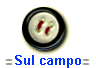 Sul campo