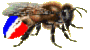 Franaise