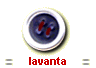 lavanta
