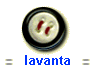 lavanta